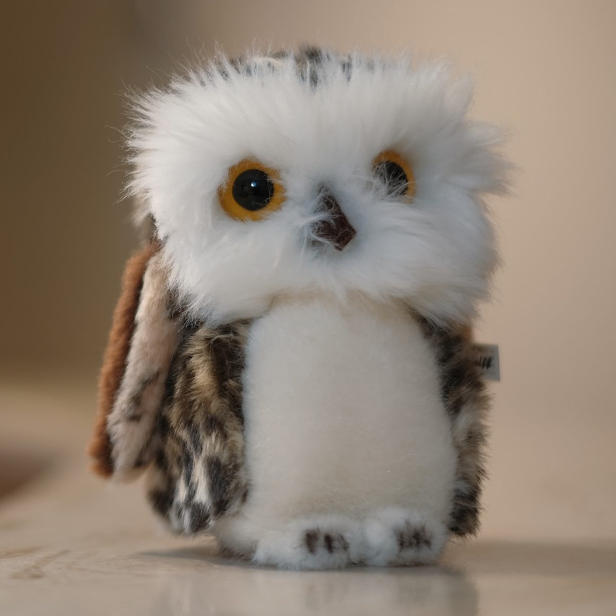 dr_peyman-meyer_augenarzt_in_kaarst_eule1_red